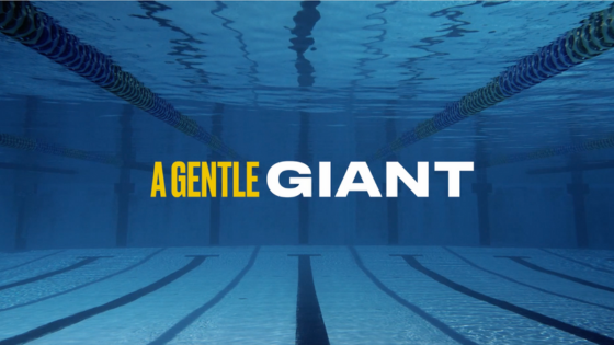 A Gentle Giant Documentary